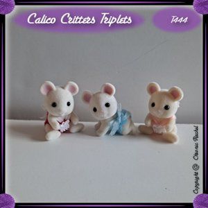 White Mouse Family Triplets